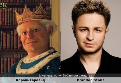 Король Гарольд похож на Brandon Stone