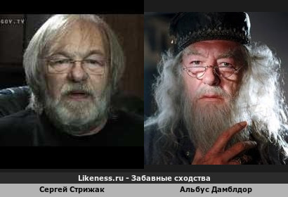 Сергей Стрижак похож на Альбуса Дамблдора