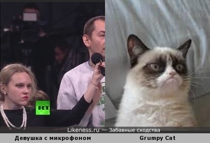 Девушка с микрофоном на пресс-конференции ВВП похожа на Grumpy Cat