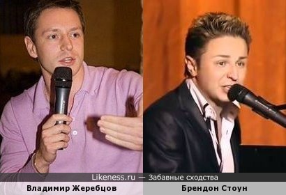 Владимир Жеребцов похож на Брендона Стоуна