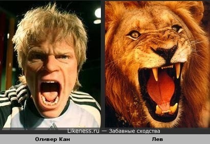 Оливер Кан похож на льва