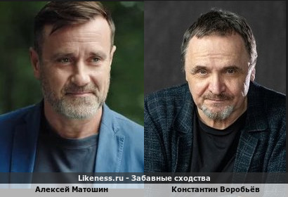 Алексей Матошин похож на Константина Воробьёва