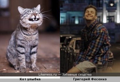 Кот улыбается как Григорий Фесенко