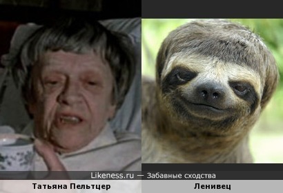 Татьяна Пельтцер причёской напоминает ленивца