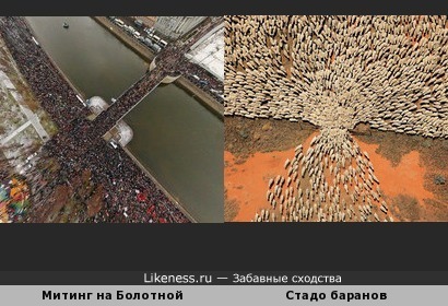 Участники митинга на Болотной площади похожи на стадо баранов
