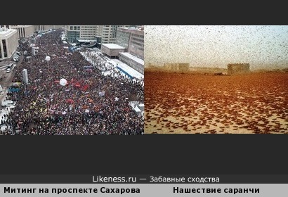 Митинг оппозиции на проспекте академика Сахарова напоминает нашествие саранчи