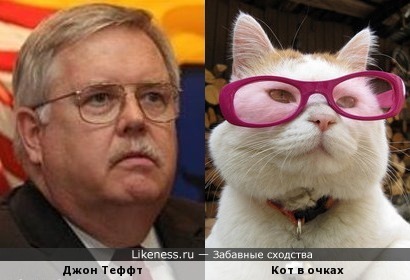 Джон Теффт и кот в очках