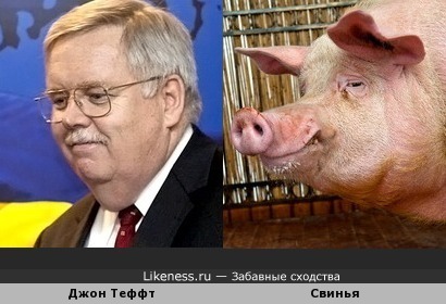 Посол США в России Джон Теффт похож на свинью