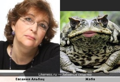 Евгения Альбац напоминает жабу (&quot;Поцелуй меня, Иван-Царевич!&quot;)