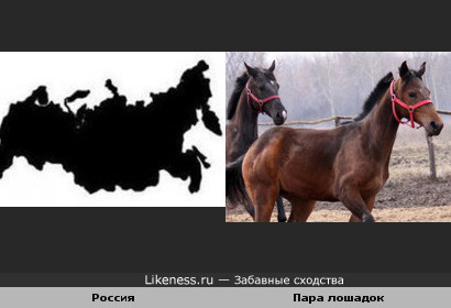 Россия и лошадиный тандем