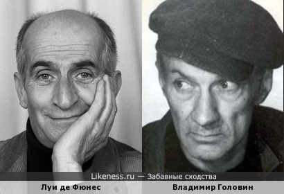 Владимир Головин похож на Луи де Фюнеса