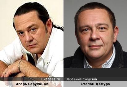 Игорь Саруханов похож на Степана Демуру