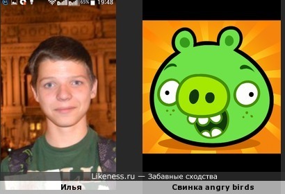 Илья Лазуренко похож на свинку из Angry Birds