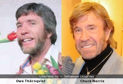 Owe Thörnqvist-Chuck Norris