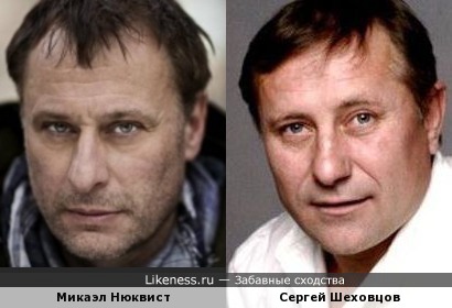Сергей Шеховцов похож на Микаэла Нюквиста