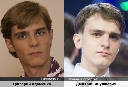 Григорий Адаменко похож на Дмитрия Янушкевича