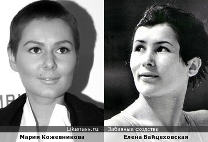 Мария Кожевникова похожа на Елену Вайцеховскую