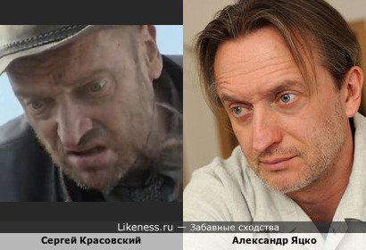 Сергей Красовский похож на Александра Яцко