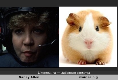 Нэнси Аллен похожа на Морскую Свинку