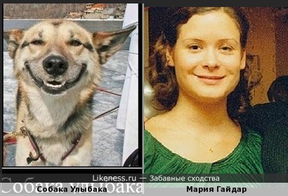 Мария Гайдар похожа на Собаку Улыбаку