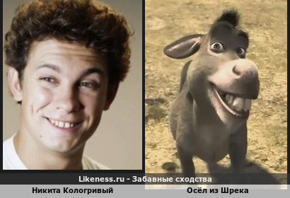 Никита Кологривый похож на Осёл из Шрека