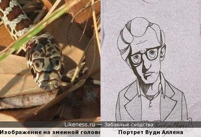 Природный рисунок на голове змеи и портрет Вуди Аллена на футболке