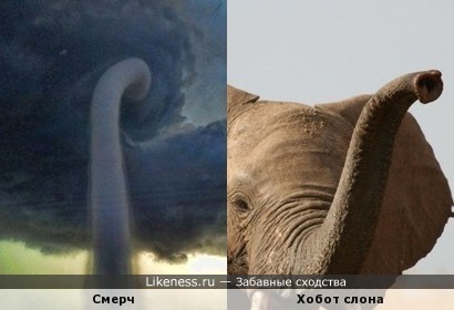 В изображении атмосферного вихря видится хобот слона