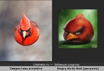 Аngry birds Red существует)