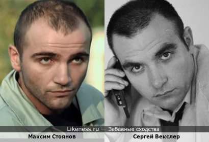 Максим Стоянов похож на Сергея Векслера