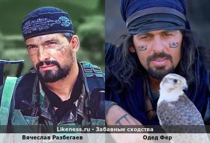 Вячеслав Разбегаев похож на Одеда Фера