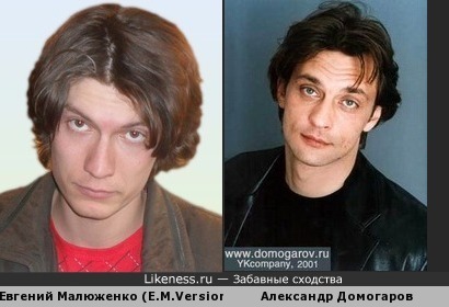 Евгений Малюженко похож на Александра Домогарова