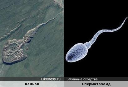 Каньон в России (Якутия) похожа на сперматозоида