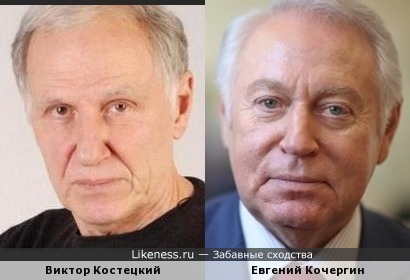 Виктор Костецкий и Евгений Кочергин похожи