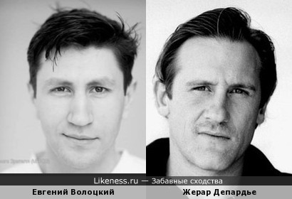 Евгений Волоцкий похож на Жерара Депардье