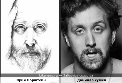 Даниил Якушев похож на Юрия Норштейна на портрете