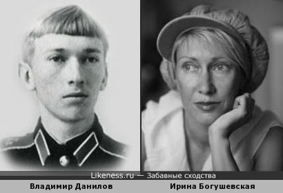 Владимир Данилов похож на Ирину Богушевскую