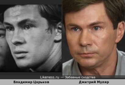 Владимир Царьков похож на Дмитрия Муляра