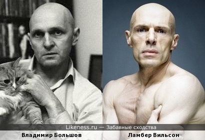 Владимир Большов похож на Ламбера Вильсона