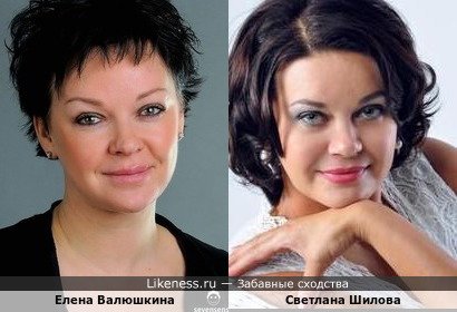 Елена Валюшкина похожа на Светлану Шилову