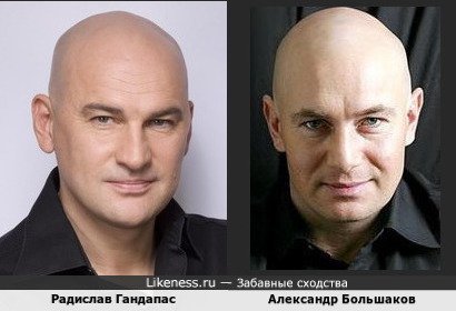 Александр Большаков похож на Радислава Гандапаса