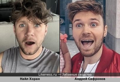Найл Хоран и Андрей Сафронов