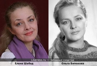 Елена Озерова-Шабад похожа на Ольгу Битюкову