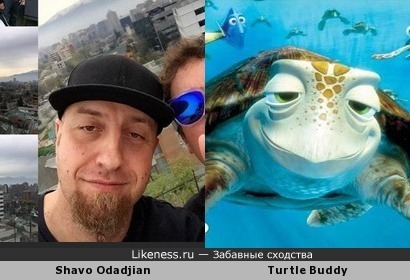 Shavo (System Of A Down) &amp; Turtle (Finding Nemo)