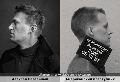 Навальный похож на Дэвида Хофлина (Tommy Madsen), актера сериала «Алькатрас»