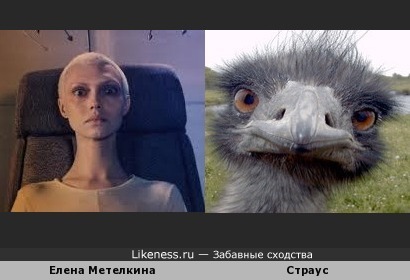Елена Метелкина похожа на страуса