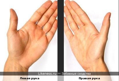 Левая рука похожа на правую