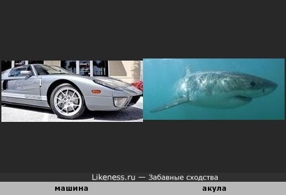 Машина похожа на акулу