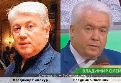 Владимир Олейник похож на Владимира Винокура