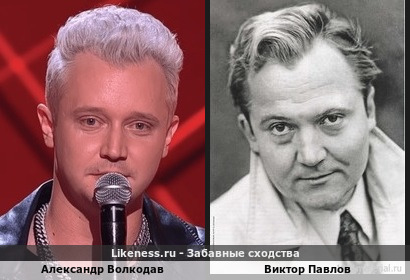 Александр Волкодав похож на Виктора Павлова