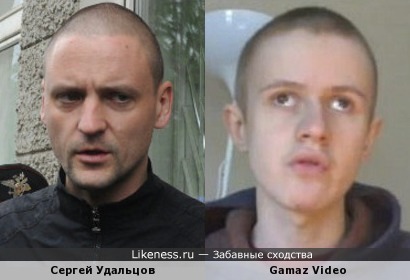 Сергей Удальцов похож на Ивана Гамаза